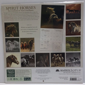 2024 Calendar Spirit Horses