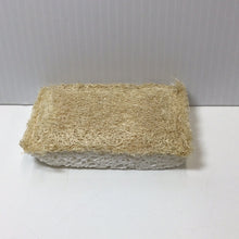 Load image into Gallery viewer, Plantish Eco Sponge Dual-Sided *Wood Pulp &amp; Loofah*