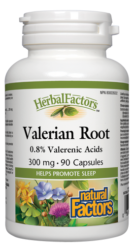 Valerian is a traditional herb used to ease pain, improve sleep, digestion, anxiety, and headaches. Valerian may increase the body’s available supply of gamma-aminobutyric acid (GABA), a neurotransmitter that eases physical tension and stress. Natural Factors Valerian Root 4:1 extract contains the equivalent of 1200 mg dried root per capsule.