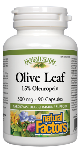 Olive Leaf extract exerts powerful antiviral, antibacterial, antifungal, and antiparasitic activity. Anecdotal evidence shows it to be helpful for many stubborn infections. It seems to work particularly well for colds, flu, and other respiratory infections.