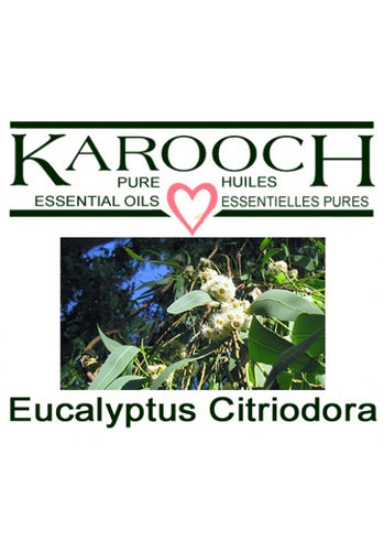 Eucalyptus Citriodora(Lemon) Essential Oil