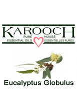 Load image into Gallery viewer, Eucalyptus Globulus Essential Oil, Karooch