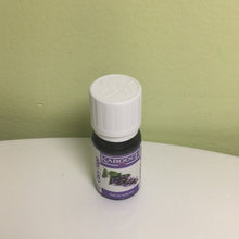 Load image into Gallery viewer, Clary Sage Essential Oil Karooch