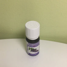 Load image into Gallery viewer, Clary Sage Essential Oil, Karooch