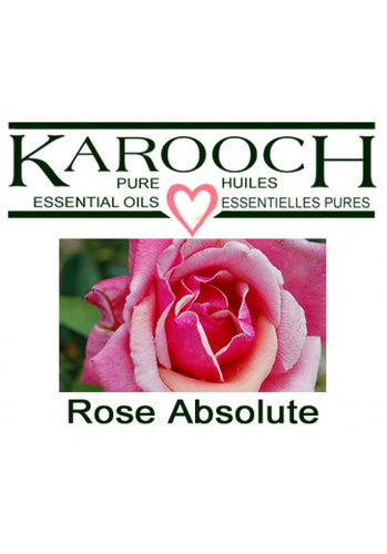Rose Absolute Essential Oil