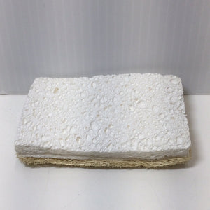 Plantish Eco Sponge Dual-Sided *Wood Pulp & Loofah*