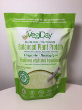 Load image into Gallery viewer, VegiDay ALL-IN-ONE Organic Balanced Plant Protein