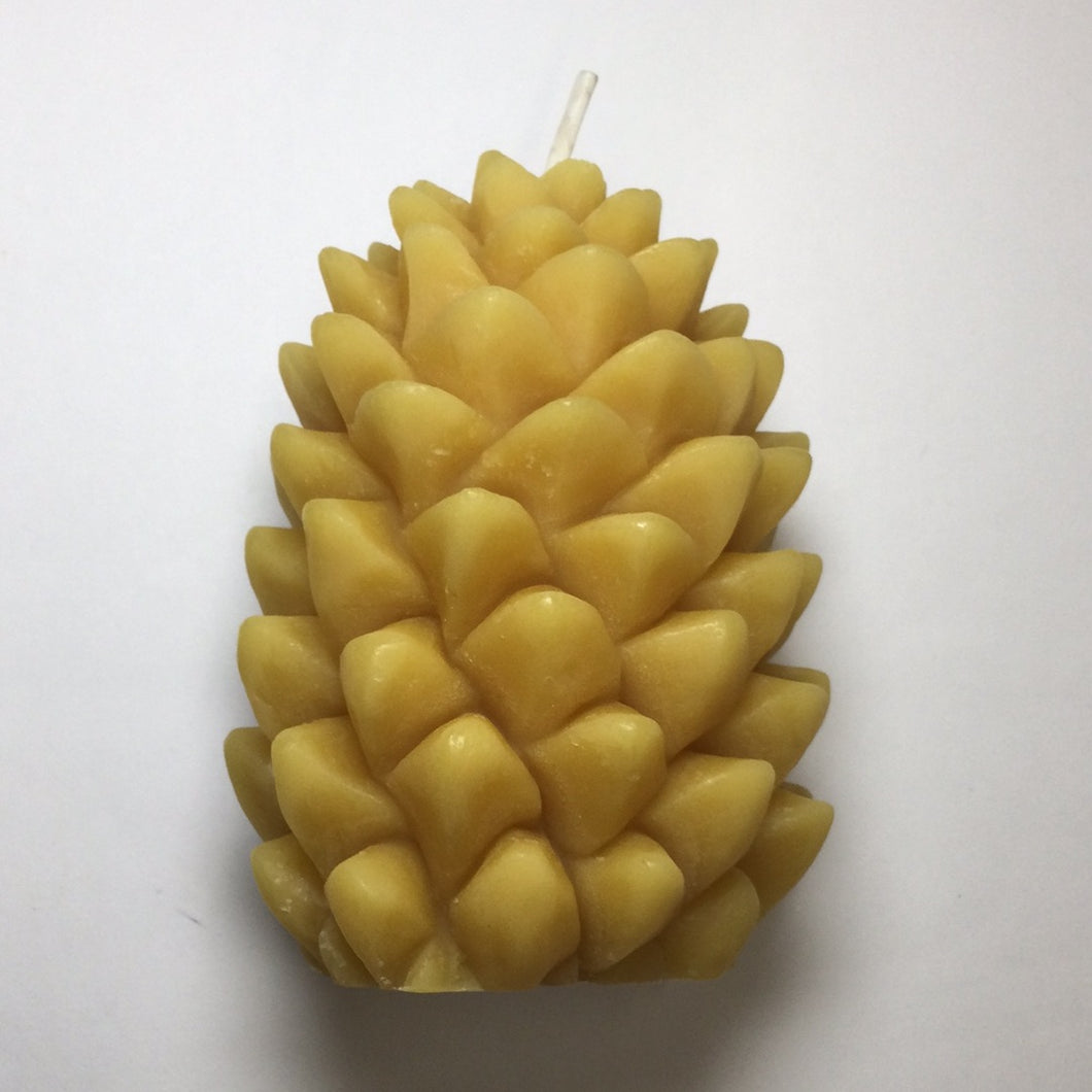 Honey Candles Pine Cone Candle