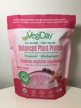 Load image into Gallery viewer, VegiDay ALL-IN-ONE Organic Balanced Plant Protein