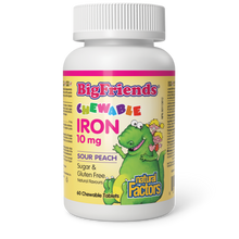 Load image into Gallery viewer, Natural Factors Big Friends Chewable Iron