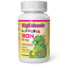 Load image into Gallery viewer, Natural Factors Big Friends Chewable Iron