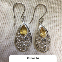 Load image into Gallery viewer, Earrings -&gt; Click Here