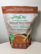 Load image into Gallery viewer, VegiDay ALL-IN-ONE Organic Balanced Plant Protein