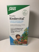 Load image into Gallery viewer, Salus Floradix Kindervital Gluten-free Formula 500ml