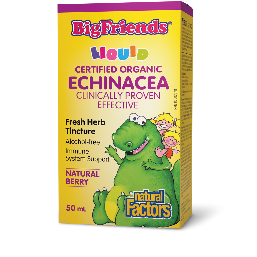 Big Friends Liquid Certified Organic Echinacea Fresh Herb Tincture