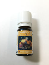 Load image into Gallery viewer, Karooch Sweet Citrus Symphony Essential Oil Blend
