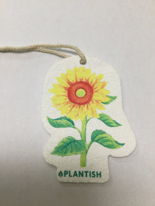 Plantish Pop-Up Cellulose Sponge