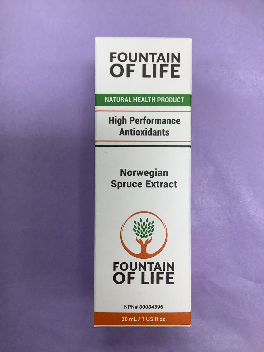 Fountain Of Life Norwegian Spruce Extract – Terrens Wellness Centre