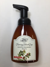 Load image into Gallery viewer, Pure Anada Foaming Hand Soap