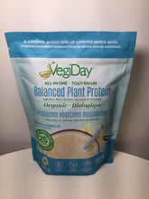 Load image into Gallery viewer, VegiDay ALL-IN-ONE Organic Balanced Plant Protein
