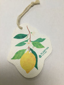 Plantish Pop-Up Cellulose Sponge