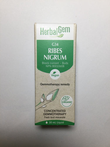 HerbalGem G34 Ribes Nigrum