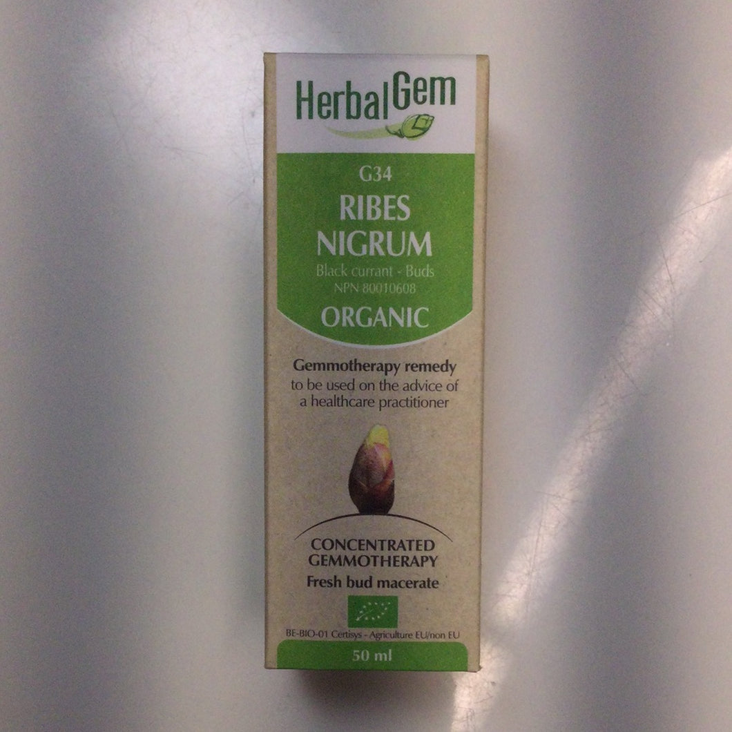 HerbalGem G34 Ribes Nigrum