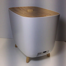 Load image into Gallery viewer, Aroma Humidifier Warm/Cold Mist/Essential Oil Function