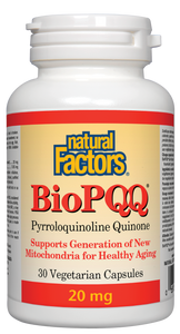 PQQ-10 protects cells from oxidative damage that can lead to cognitive decline, neurodegenerative disease, and cardiovascular problems. PQQ and CoQ10 work together to support the mitochondria, the cells’ energy producers