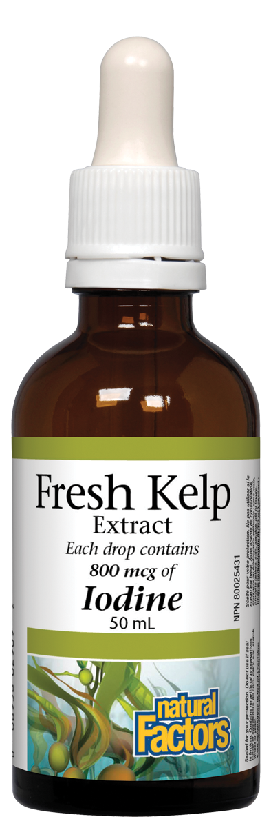Natural Factors Fresh Kelp Extract is a natural source of iodine that the body needs to make thyroid hormones. It is hand harvested in a sustainable manner from the pristine coastal waters of British Columbia. A precision extraction process preserves freshness and kelp’s spectrum of minerals, vitamins, and iodine. 