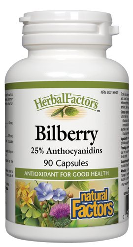 HerbalFactors standardized bilberry extract guarantees 25% anthocyanidins. These potent antioxidants are widely used for vascular and eye health. In particular bilberry improves visual acuity and reduces eye strain. It also supports collagen formation and helps prevent the oxidation of LDL cholesterol.