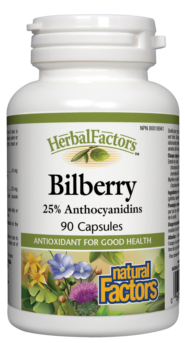 HerbalFactors standardized bilberry extract guarantees 25% anthocyanidins. These potent antioxidants are widely used for vascular and eye health. In particular bilberry improves visual acuity and reduces eye strain. It also supports collagen formation and helps prevent the oxidation of LDL cholesterol.