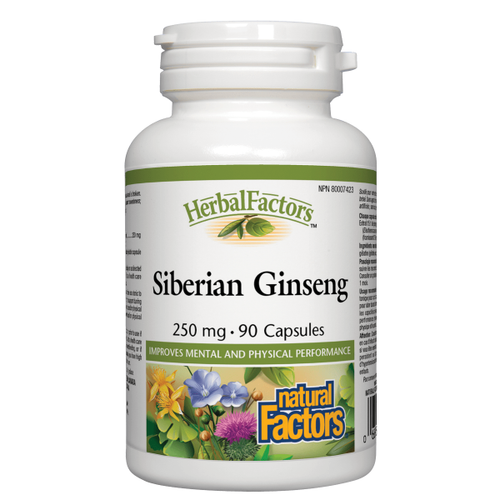 Siberian ginseng contains eleutherosides, active compounds that give it anti-stress and anti-inflammatory properties. This respected herb, which grows in North America as well as Europe and Asia, has been used for centuries to support mental and physical performance. It’s ideal for anyone who is under normal stress and feeling run down.