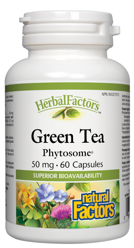 HerbalFactors Green Tea Phytosome provides a highly bioavailable form of green tea and its polyphenols, standardized to 60% catechins and 40% EGCg. This potent antioxidant helps protect the body against oxidative stress in the body and helps promote optimal health.