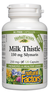 erbalFactors Milk Thistle extract, with 150 mg of silymarin per capsule, can protect, repair, and regenerate the liver, supporting its many important functions.
