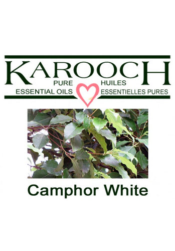 Camphor White Essential Oil, Karooch