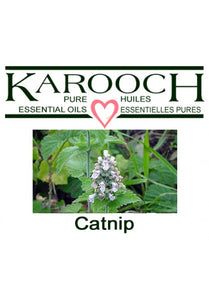 Karooch Catnip Essential Oil