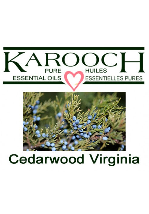 Cedarwood Virginia Essential Oil