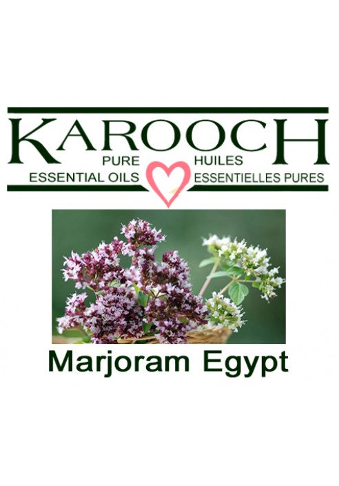 Marjoram Egypt Essential Oil
