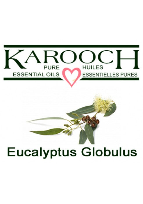 Eucalyptus Globulus Essential Oil, Karooch