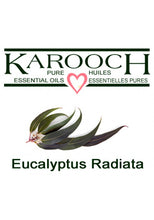 Load image into Gallery viewer, Eucalyptus Radiata Essential Oil