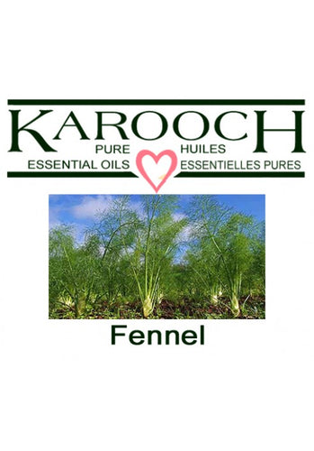 Fennel Sweet Essential Oil, Karooch