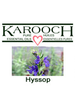 Load image into Gallery viewer, Karooch Hyssop Essential Oils