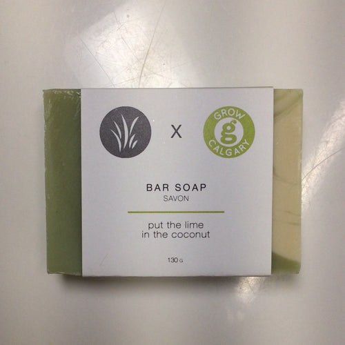 All Things Jill Bar Soap Put The Lime In The Coconut