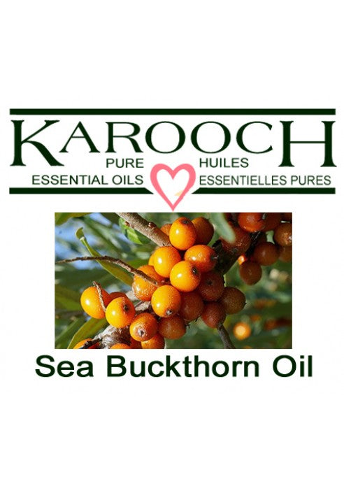 Karooch Sea Buckthorn Fruit Carrier Oil