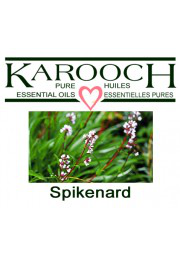 Spikenard Essential Oil, Karooch